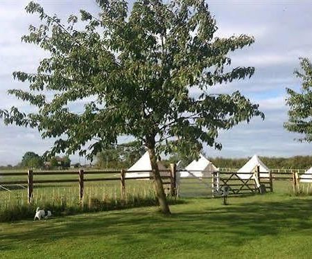 Skipbridge Farm Shepherds Huts Campground Green Hammerton المظهر الخارجي الصورة