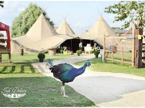 Skipbridge Farm Shepherds Huts Campground Green Hammerton المظهر الخارجي الصورة