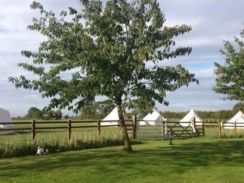 Skipbridge Farm Shepherds Huts Campground Green Hammerton المظهر الخارجي الصورة